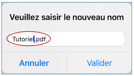 mceclip22.png