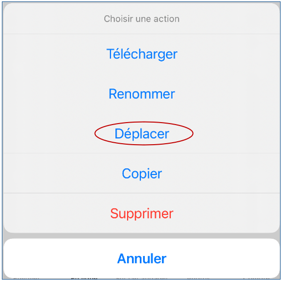mceclip26.png