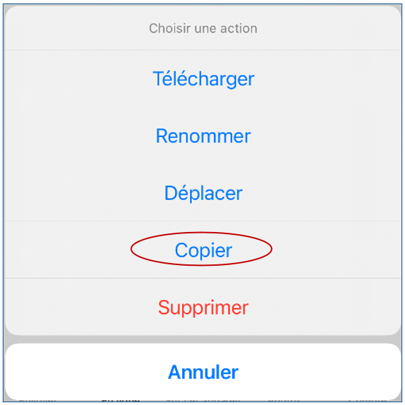 mceclip31.png