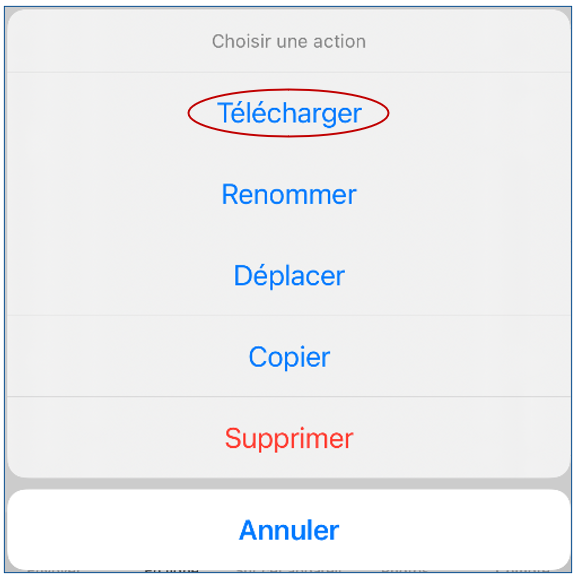 mceclip1.png